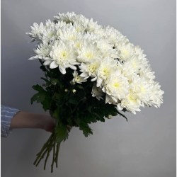 orig (3)21